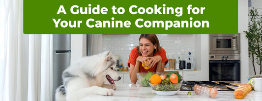 The Tail-Wagging Trend of Homemade Dog Food: A Guide to Cooking for Your Canine Companion