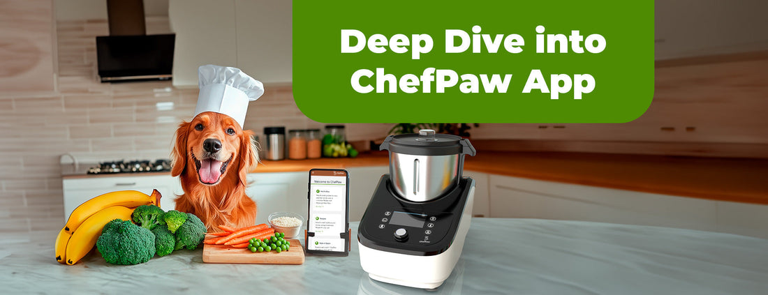 How Does The ChefPaw App Work? A Guide to Homemade Dog Food