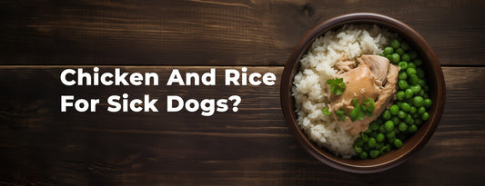 Chicken And Rice For Sick Dogs?