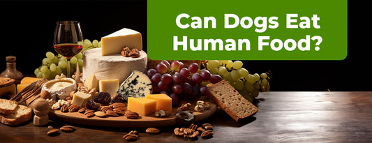 Can Dogs Eat Human Food?