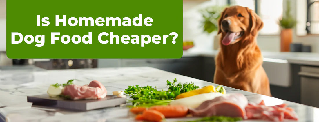 Is It Cheaper To Make Your Own Dog Food?
