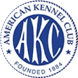 American Kennel Club