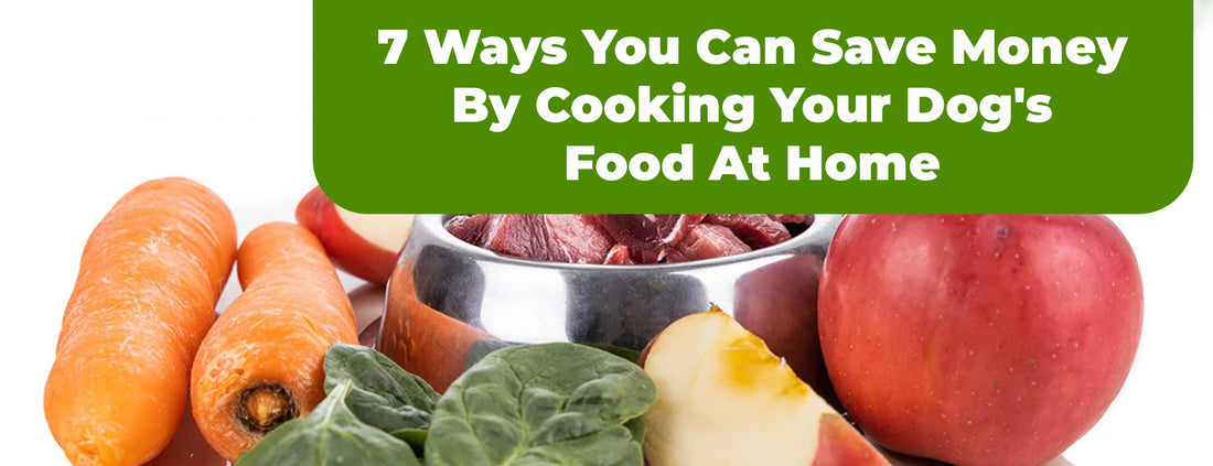 7 Ways You Can Save Money By Cooking Your Dog's Food At Home