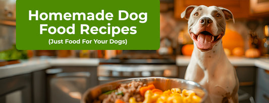 Active Dog with Ground Turkey and Macaroni (Just Food For Your Dogs) - Homemade Dog Food Recipes with ChefPaw