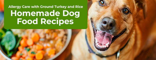 Allergy Care With Turkey and Rice (Gordon's Grub) - Homemade Dog Food Recipes with ChefPaw