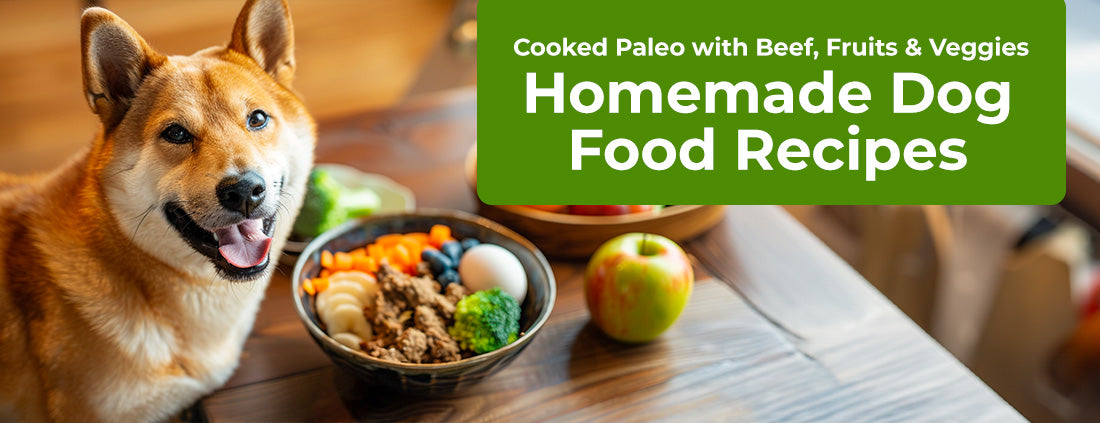 Cooked Paleo with Beef, Fruits & Veggies (A Modern Twist on Canine Nut ...