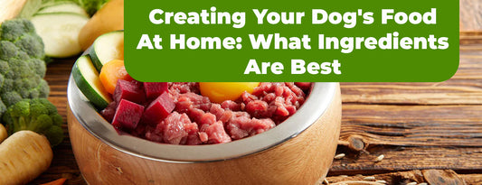 Creating Your Dog's Food At Home: What Ingredients Are Best