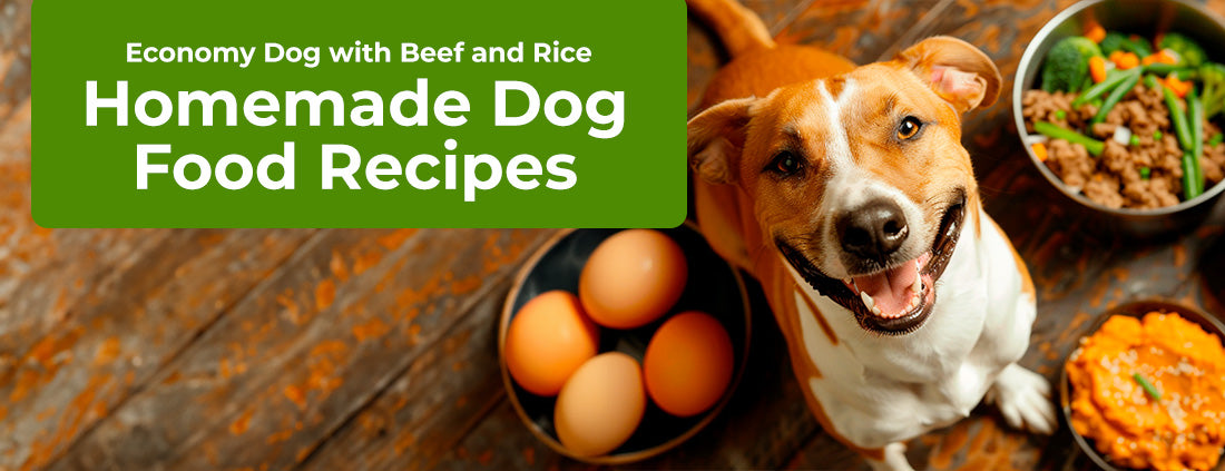 Economy Dog with Beef and Rice - Homemade Dog Food Recipes with ChefPaw