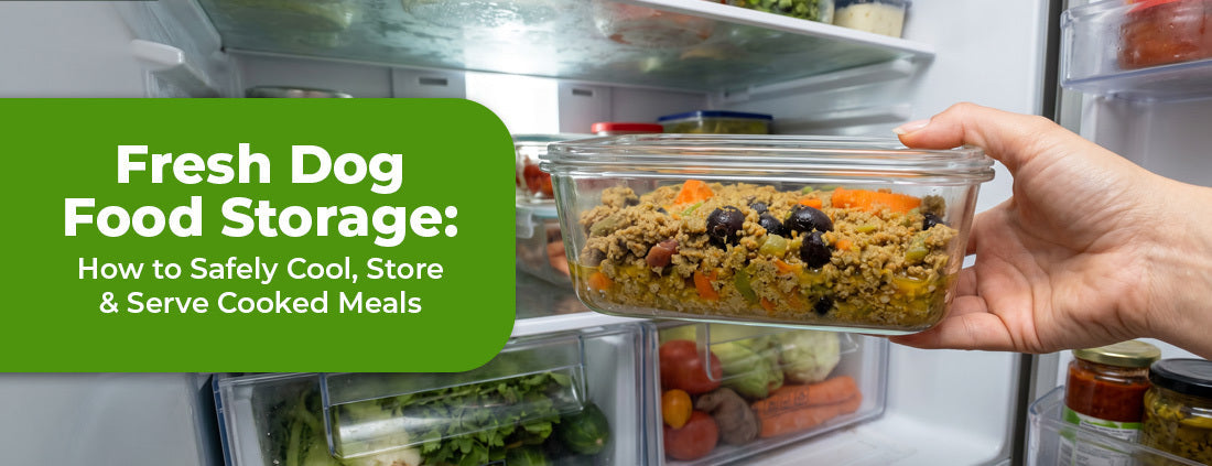 Fresh Dog Food Storage: How to Safely Cool, Store & Serve Cooked Meals