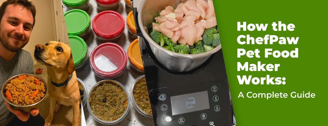 How the ChefPaw Pet Food Maker Works: A Complete Guide
