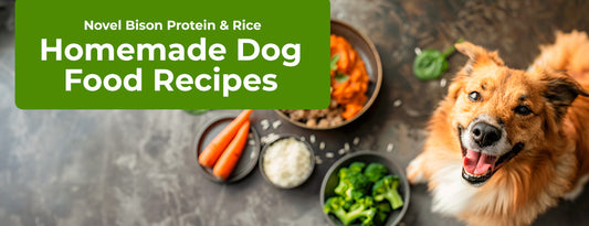 Novel Bison Protein & Rice - Homemade Dog Food Recipes with ChefPaw