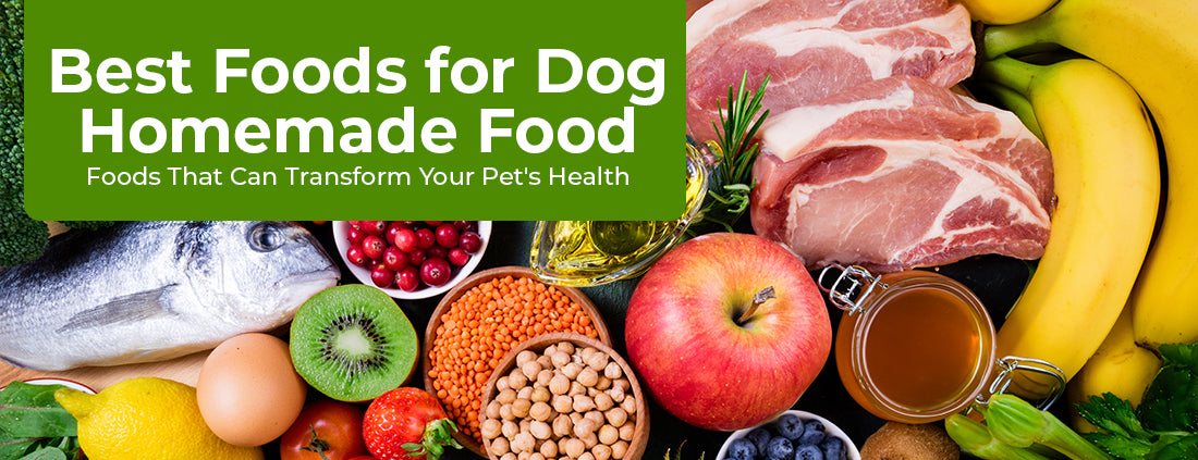 What Are The Best Foods To Put In Homemade Dog Food?