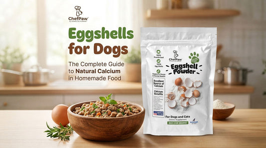 Eggshells for dogs