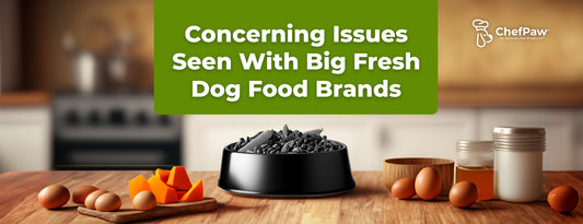 Concerning Issues Seen With Big Fresh Dog Food Brands