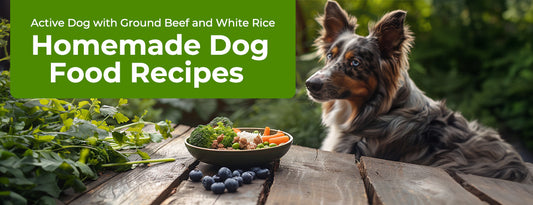 Active Dog with Ground Beef and White Rice (Yum Yum Now) - Homemade Dog Food Recipes with ChefPaw
