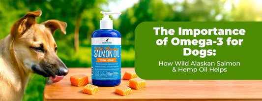 Omega‑3 for Dogs: Skin, Joints & Heart Support