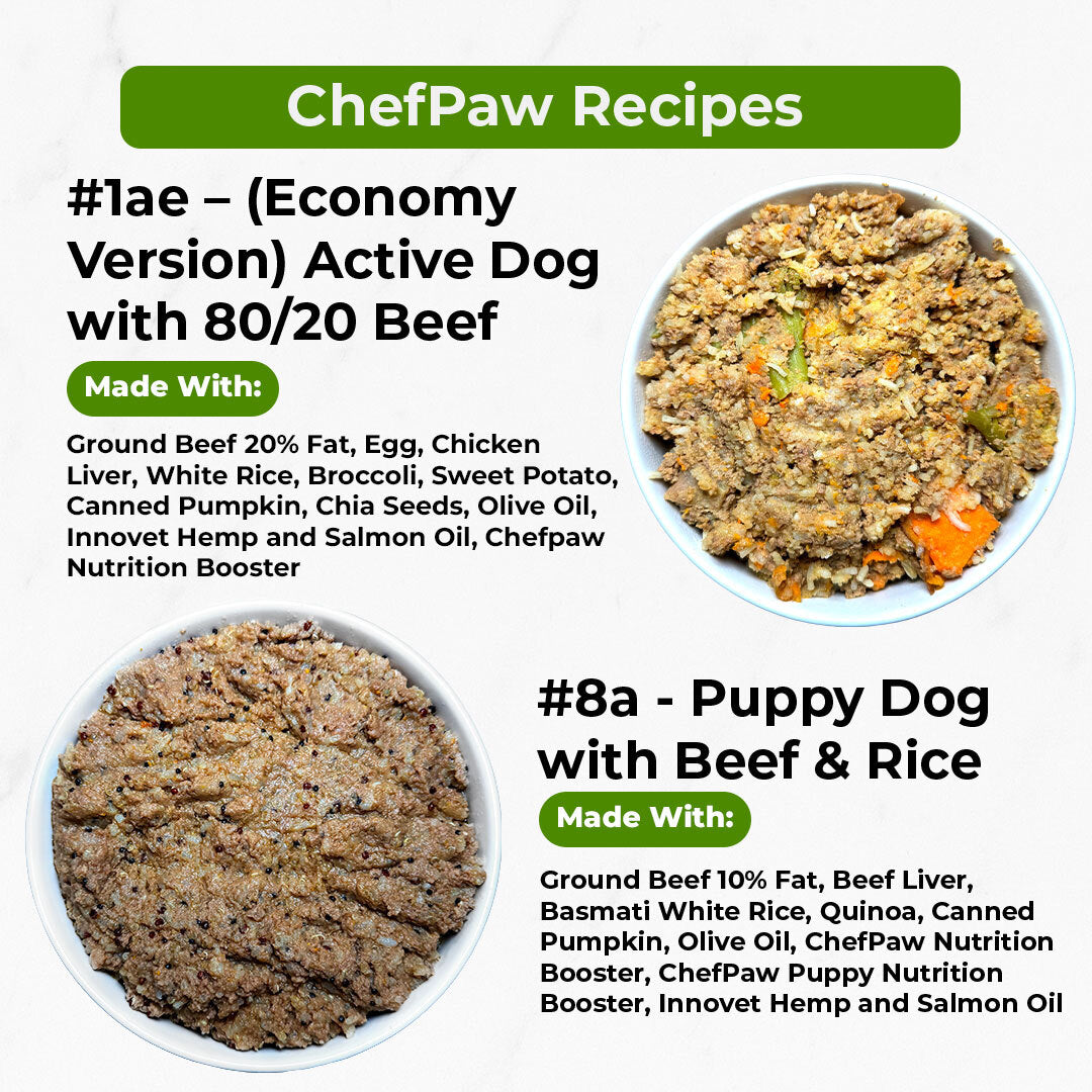 ChefPaw Dog Food Maker